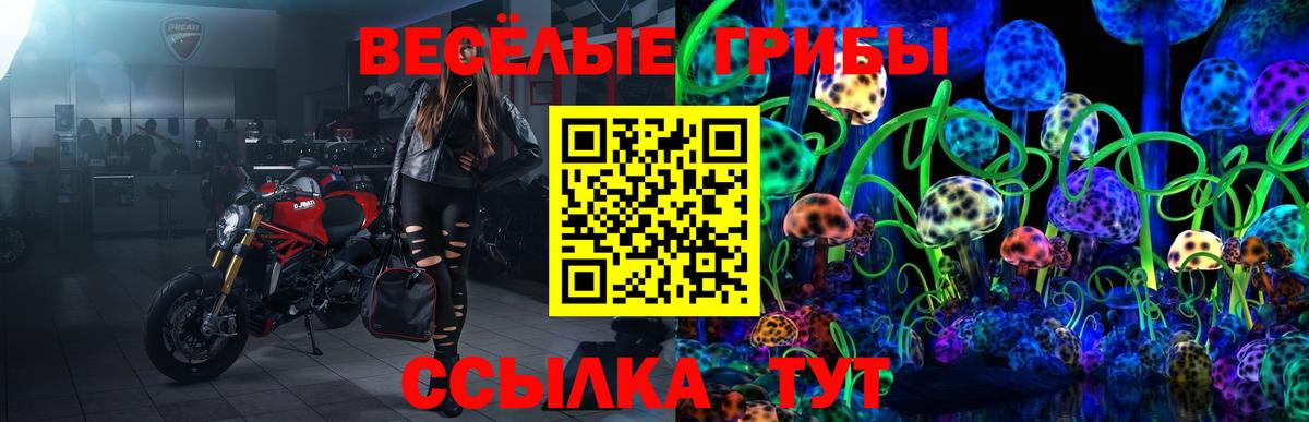 Волжский  купить наркотики сайты  Вход с VPN  Галлюциногенные грибы MAGIC MUSHROOMS 
